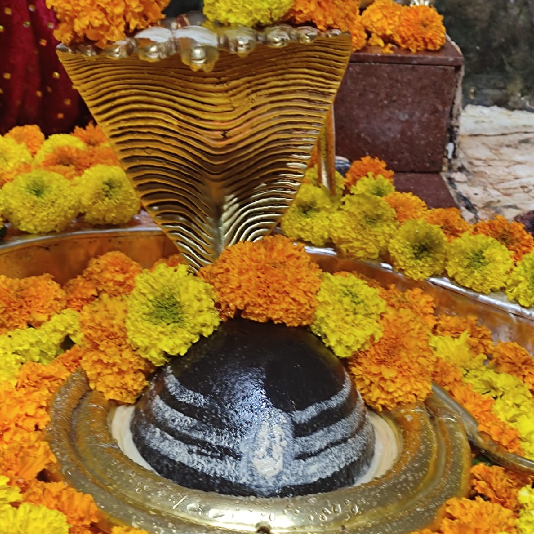 Nirmla Chandel